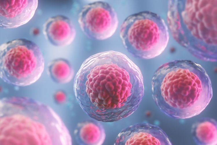 Ilmuwan Temukan “Pengatur Kematian” Sel Manusia, Apa Itu?