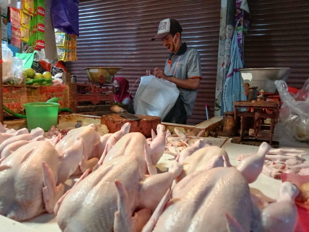 Harga Ayam Potong Jakarta Capai Rp 45 Ribu, Satgas Pangan Polda Metro Turun Tangan