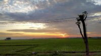 Prakiraan Cuaca Jateng Hari Ini: Semarang, Demak, dan Kendal Berpotensi Hujan