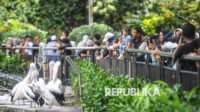 Ragunan buka malam, dorong ekonomi lokal