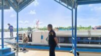 Jadwal Speedboat Tanjung Selor-Tarakan Hari Ini, Cek Tiket Minggu 5 April 2026